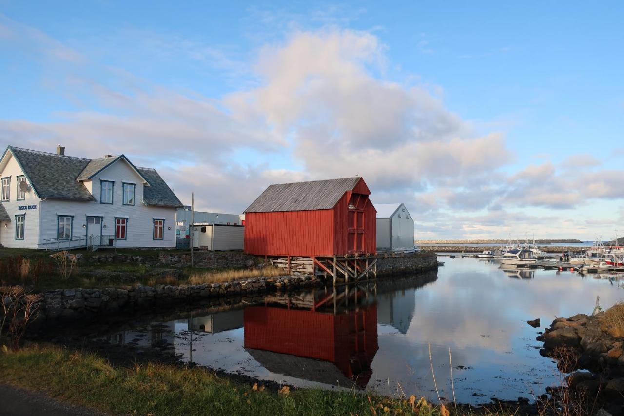 Fredheimbrygga Lejlighed Andenes Eksteriør billede